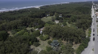 Hubo reunión entre ambientalistas y municipio por la conservación de los árboles del Parque