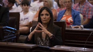 ¿Meme o chicana política de la ex concejal Vallota?: "Si quieres que un problema perdure crea una comisión"
