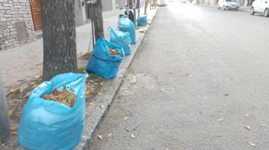 Realizan operativos diurnos y nocturnos de limpieza con la barredora y las cuadrillas manuales