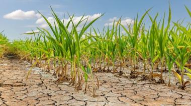 Emergencia Agropecuaria en San Cayetano: Hay tiempo de anotarse hasta el 30 de abril