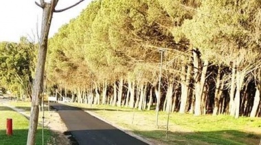 Colocan pavimento en la bicisenda de avenida 10