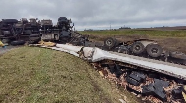 Un camión cargado de pescado fresco que viajaba a Mar del Plata volcó