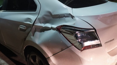 Accidente de tránsito resalta el peligro de animales sueltos en la vía pública
