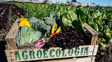 Últimos días para inscribirse en la Diplomatura Universitaria en Agroecología en San Cayetano