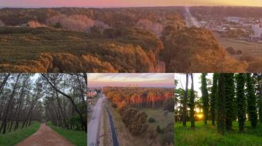 Tras el incendio en el pulmón verde de Necochea: Llamado a la conciencia ambiental
