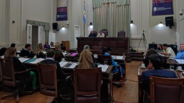 Ante el anuncio de Rojas el HCD debate tomar medidas en relación a la crisis