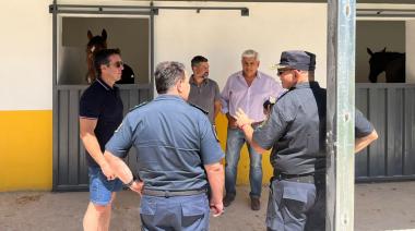 Refuerzo en seguridad: Arribaron los primeros caballos para la policía montada en Necochea