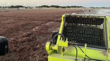 El Municipio de Necochea desplegó un operativo de limpieza por invasión de algas rojas en Quequén