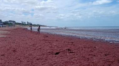 Un rapidito: Qué pasó en Necochea esta semana