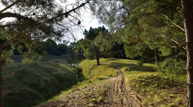 Clima en Necochea: ¿Qué anuncia el pronóstico para hoy?