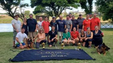 Preparativos de los ovejeros alemanes de Necochea para el Siegerschau 2024