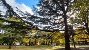 Jueves en Necochea: cómo estará el clima este 30 de mayo