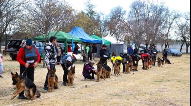 Gran rendimiento en La Pampa de los Ovejeros Alemanes de Necochea y Quequén