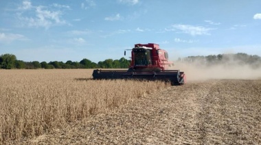 Búsqueda laboral en Necochea: empresa del agro incorpora personal