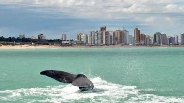 Necochea ofrece salidas guiadas para disfrutar de los fines de semana largos de junio