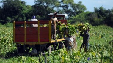 La Ley Bases y el trabajo agrario: Un retroceso en la protección laboral
