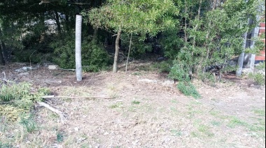 Ni la Cooperadora se salva: Intentaron usurpar un terreno de su propiedad