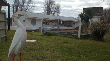 ¿Cómo organizar una excursión escolar a la Estación de Piscicultura en Necochea?