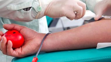 Cómo donar médula ósea: El poder de una simple extracción para salvar vidas