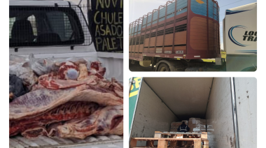 ¿De dónde viene la carne que compramos? Secuestraron 400 kilos de carne con signos de faena ilegal en Necochea