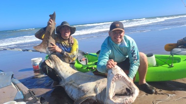 Indignación por la captura ilegal de un tiburón en peligro de extinción en Necochea