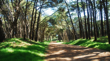 Crean la mesa interinstitucional para la preservación y cuidado del Parque Miguel Lillo