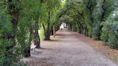 Clima en Necochea para este martes 20 de mayo: un día con chaparrones y fuerte viento del SO