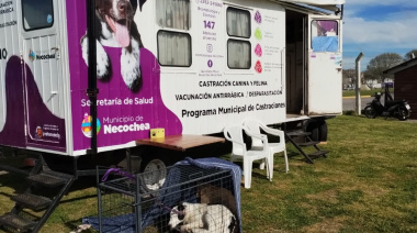 Este sábado en Quequén: castración gratuita contra el maltrato animal