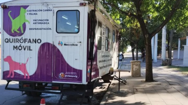 Castraciones gratis en Necochea: el quirófano móvil atenderá todo julio en el Corralón Municipal