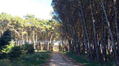 Clima en Necochea: viernes 22 de agosto con tormentas y chaparrones