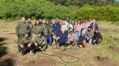 Jornada de plantación en el Parque Miguel Lillo: producirán leña para fines sociales