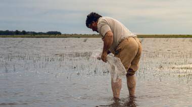 San Cayetano vuelve a sembrar pejerrey en sus lagunas tras la sequía histórica