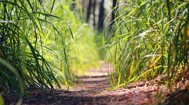 Necochea arranca la semana con buen tiempo y una máxima de 24°C