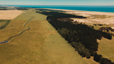 Sábado caluroso en Necochea con tormentas fuertes por la noche: el SMN emitió alerta amarilla