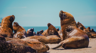 ¿Cuándo arranca el fin de semana largo de noviembre 2025?
