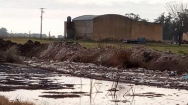 Apuntan nuevamente contra la avícola Jurjen por contaminación y malos olores
