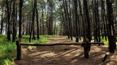 Domingo en Necochea: clima templado, viento moderado y mínima probabilidad de lluvia