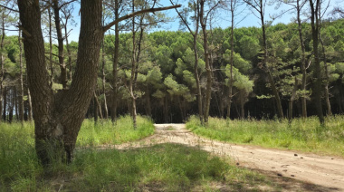 Viernes inestable en Necochea: alerta amarilla por tormentas y una máxima de 26°C