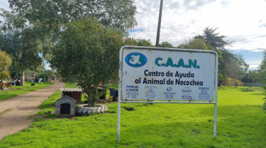 El CAAN alerta por estafas en la playa: usan su nombre para cobrar estacionamiento