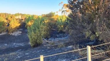 Feroz incendio en Arenas Verdes: bomberos y vecinos lograron controlar las llamas