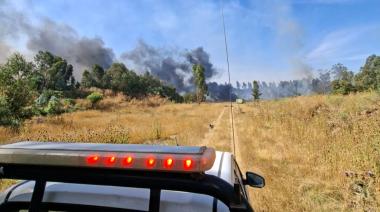 Siguen los incendios en Necochea: Defensa Civil difundió información clave para prevenir nuevos focos