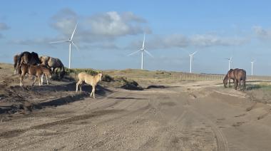 Domingo soleado y ventoso en Necochea y Quequén: máxima de 20° y sin lluvias