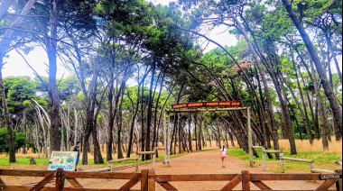 Chaparrones y ráfagas de hasta 50 km/h: así estará el miércoles en Necochea