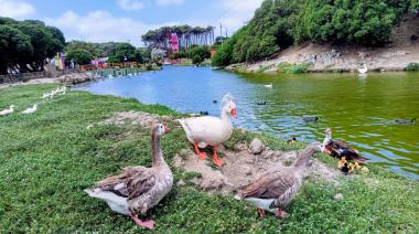 Viernes con calor y tormentas aisladas por la noche en Necochea