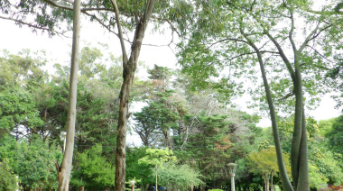 Clima en Necochea: miércoles fresco, con cielo entre nubes y máxima de 23°C
