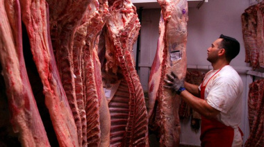 El consumo de carne cayó a su nivel más bajo en 20 años: cuánto se come hoy
