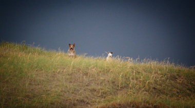 Sábado inestable en Necochea: anuncian chaparrones y tormentas hacia la noche
