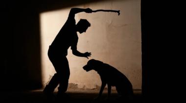 Proponen endurecer sanciones por maltrato animal en Necochea