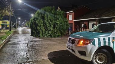 Reporte del temporal en Necochea: más de 50 mm de lluvia, viento de casi 90 km/h y evacuados