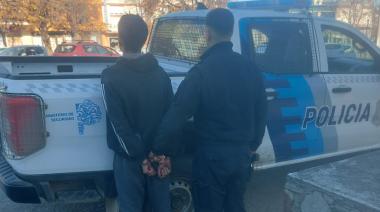 Intentó esconder un televisor robado entre arbustos y terminó aprehendido en Necochea